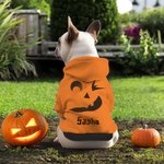 Costume Personalizzato per Cucciolo con Faccia di Zucca Morbido e Caldo con Cappuccio e Nome Regalo Compleanno Halloween per L'Amante Degli Animali