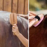 Personalized Engraved Wooden Brush Comb Hoof Pick Horse Grooming Kit with Name 9 Pcs Equine Care Supplies Equestrian Gift for Horse Trainers Lovers