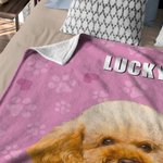 Gepersonaliseerd olieverfschilderij kat hond huisdier portret pootafdrukken zachte deken met naam Home Decor Kerst Verjaardagscadeau voor huisdiereige