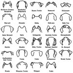 Personalized Wooden Dog Ears Leash Holder with Name and Hook Wall Decor Birthday Housewarming Gift for Dog Lover