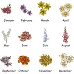 Couverture Personnalisée avec Fleur de Naissance et Titre Cadeau d'Anniversaire et de Noël pour Maman et Grand-Mère