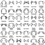 Personalized Wooden Dog Ears Leash Holder with Name and Hook Wall Decor Birthday Housewarming Gift for Dog Lover