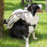 Bolsa de peluche de golf personalizada con arnés ajustable para perro, chaleco y correa reflectante Regalo para dueños de mascotas jugadores de golf