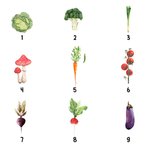 Couverture Douce Multicolore 