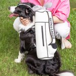Bolsa de peluche de golf personalizada con arnés ajustable para perro, chaleco y correa reflectante Regalo para dueños de mascotas jugadores de golf