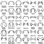 Personalized Wooden Dog Ears Leash Holder with Name and Hook Wall Decor Birthday Housewarming Gift for Dog Lover