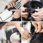 Bolsa de peluche de golf personalizada con arnés ajustable para perro, chaleco y correa reflectante Regalo para dueños de mascotas jugadores de golf