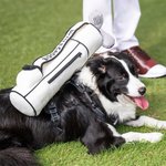 Bolsa de peluche de golf personalizada con arnés ajustable para perro, chaleco y correa reflectante Regalo para dueños de mascotas jugadores de golf