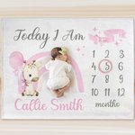 Coperta morbida personalizzata Giraffe Rainbow Bow-knot Milestone con nome Baby Shower Regalo per la nuova mamma del neonato