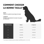 Sweat à Capuche pour Chien Personnalisé avec Nom et Visage de Citrouille Cadeau Halloween Anniversaire pour Amoureux d'Animal de Compagnie