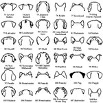 Porte-Laisse en Bois Personnalisé avec Contour d'Oreilles de Chien et Nom Décoration Murale Cadeau Anniversaire Emménagement pour Amoureux des Chiens