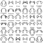 Porte-Laisse en Bois Personnalisé avec Contour d'Oreilles de Chien et Nom Décoration Murale Cadeau Anniversaire Emménagement pour Amoureux des Chiens