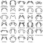 Porte-Laisse en Bois Personnalisé avec Contour d'Oreilles de Chien et Nom Décoration Murale Cadeau Anniversaire Emménagement pour Amoureux des Chiens