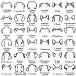 Porte-Laisse en Bois Personnalisé avec Contour d'Oreilles de Chien et Nom Décoration Murale Cadeau Anniversaire Emménagement pour Amoureux des Chiens