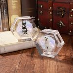 Gepersonaliseerde Engel Vleugels Hond Kat Vacht Herinneringsdoos met Foto Naam Huisdierverlies Aandenken Cadeau voor Huisdierbezitters en Liefhebbers