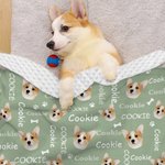 Personalised Cute Meat Fish Bone Pet Avatar Soft Blanket with Name Birthday Gift for Cat Dog Pet Lover Owner