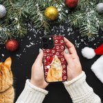 Personalised Multicolour Cute Paw Print Dog Cat Photo Phone Case for iPhone with Name Birthday Christmas Gift for Pet Lovers