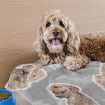 Personalised 1-6 Dog Cat Photos Soft Throw Blanket with Name Home Decor Birthday Christmas Gift for Pet Lover