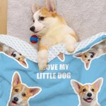 Personalised 1-6 Dog Cat Photos Soft Throw Blanket with Name Home Decor Birthday Christmas Gift for Pet Lover