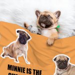 Personalised 1-6 Dog Cat Photos Soft Throw Blanket with Name Home Decor Birthday Christmas Gift for Pet Lover