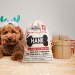 Personalized Dog Bone Santa Sack Drawstring Treat Bag with Name Reusable Christmas Party Supplies Favor Gift for Pets