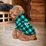 Personalized Classic Plaid Soft Warm Puppy Dog Hoodie Clothes with Name Birthday Christmas Gift for Pet Lover