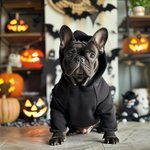 Personalizado brillando esqueleto huesos caliente suave perro gato sudadera con capucha con el nombre de todas las razas lindo partido del animal domé