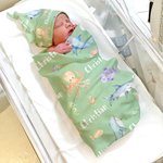Personalisierte Delphin Hai Ozean Tier Swaddle Decke und Hut Set mit Namen Geburtstag Baby Dusche Geschenk für neugeborene Kinder