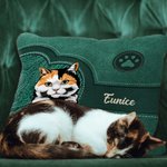 Taie d'Oreiller Personnalisée avec 1-5 Motifs Chien Chat Style Rétro Bourrage à Choix Cadeau Noël Anniversaire pour Amoureux d'Animal de Compagnie