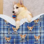 Personalised Multicolor Plaid Dog Cat 1-3 Photos Soft Throw Blanket with Name Christmas Birthday Gift for Pet Lovers