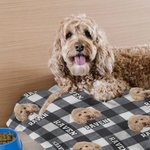 Personalised Multicolor Plaid Dog Cat 1-3 Photos Soft Throw Blanket with Name Christmas Birthday Gift for Pet Lovers