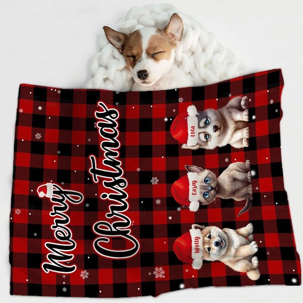 Personnalisé Joyeux Noël Multicolore Cartoon Santa Hat Dog Cat Blanket with Dotted Backing and Names Birthday Christmas Gift for Pet Owners