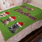 Personnalisé Joyeux Noël Multicolore Cartoon Santa Hat Dog Cat Blanket with Dotted Backing and Names Birthday Christmas Gift for Pet Owners