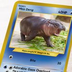 Personalised Funny Moo Deng Baby Hippo Photo Classic Poke Card with Name and Cover Card Game Collection Birthday Gift for Moo Deng Fans
