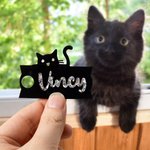 Personalized Curious Peeping Cat Glitter Acrylic Tumbler Name Plate Tag Cute Accessories for Stanley Birthday Gift for Cat Mom Pet Owner