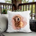 Personalized Pet Photo Throw Pillow Cover with Name Memorial Sympathy Gift for Cat Dog Lovers