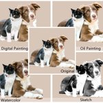 Personalized Pet Photo Throw Pillow Cover with Name Memorial Sympathy Gift for Cat Dog Lovers