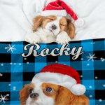 Personalised Dog Cat Santa Hat Photo Colourful Plaid Snowflake Soft Throw Blanket with Name Home Decor Birthday Christmas Gift for Pet Owners