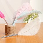 Personalisierter Bunter Straußenfeder Kugelschreiber 2er Set mit Text Gravur Klassischer Magiestil Geburtstag Geschenk für Schüler Student Mitarbeiter