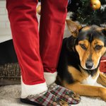 Pantofole di peluche in cotone 100% con nome, regalo di Natale per gatti, cani e padroni di animali domestici.