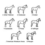 Personalisierte Pferd-Silhouette Halskette mit Namen Pferdeschmuck Erinnerung Geburtstag Geschenk für Pferdeliebhaber