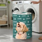 Henkilökohtaiset tassunjäljet Pet Portrait Vedenpitävä pyykin säilytyskorin nimi ja kahva Syntymäpäivälahja kissa koira lemmikki rakastaja