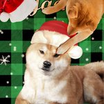 Personalised Dog Cat Santa Hat Photo Colourful Plaid Snowflake Soft Throw Blanket with Name Home Decor Birthday Christmas Gift for Pet Owners