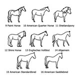 Personalisierte Pferd-Silhouette Halskette mit Namen Pferdeschmuck Erinnerung Geburtstag Geschenk für Pferdeliebhaber