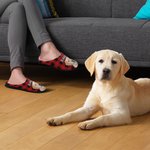 Pantofole di peluche in cotone 100% con nome, regalo di Natale per gatti, cani e padroni di animali domestici.