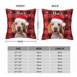 Personalized Colourful Plaid Snowflake Cat Dog Santa Hat Photo Throw Pillow Cover with Name Home Decor Christmas Birthday Gift for Pet Owners