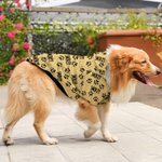 Personalizada Cute Paw Print Soft Warm Puppy Dog Cat Hoodie Clothes with Name Birthday Party Gift for Pet Lover Owner