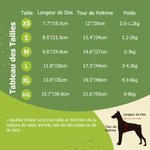 Sweat à Capuche pour Chien Personnalisé avec Nom et Visage de Citrouille Cadeau Halloween Anniversaire pour Amoureux d'Animal de Compagnie