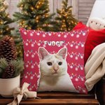 Housse de Coussin Personnalisée avec Portrait d'Animal et Nom Style Guirlande Lumineuse Cadeau Festival Noël pour Amoureux de Chien Chat