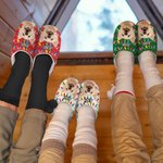 Personalisierte Licht String Hund Katze Foto Baumwolle Plüsch Hausschuhe mit Namen Geburtstag Geschenk für Tierliebhaber